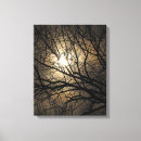 Recherche de mystique photographie Lune