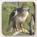 Suche nach falke untersetzer Vogel