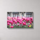 Suche nach rosa tulpe leinwandbilder Tulpen