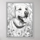 Suche nach labrador retriever poster Niedlich