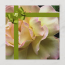 Recherche de glorieux invitations Anniversaires