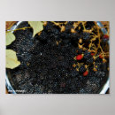 Suche nach brombeere poster Fotografie