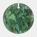 Suche nach grünes gras ornamente Quelle
