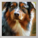 Suche nach australian shepherd poster Portrait