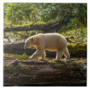 Suche nach krankheit fliesen Jaynes galerie