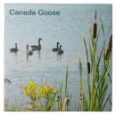 Suche nach gänse fliesen Blau