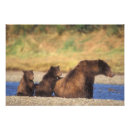 Suche nach jungen kinderzimmer poster Baby