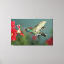 Suche nach fress kunst Usa