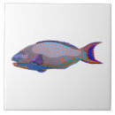Recherche de poissons de perroquet Tropical