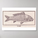 Suche nach karpfen poster Fische