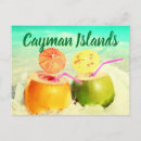 Recherche de coco cartes postales Vacances