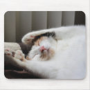 Suche nach katzengeschenke mousepads Kitty