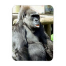 Suche nach gorilla magnete Tier