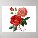 Suche nach vintage rote rosen poster Für sie