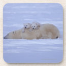 Suche nach draußen untersetzer Kalte temperatur