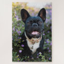 Recherche de une canine puzzles Purebelle