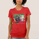 Recherche de chaton photographie Aucunes personnes