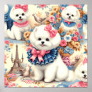 Recherche de frise bichon posters Animaux