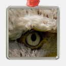 Suche nach wildvogel ornamente Kahladler