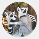 Suche nach liebevoll aufkleber Tiere