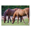 Suche nach quatern Tiere