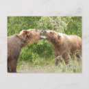 Recherche de ours bruns cartes postales Pour tous
