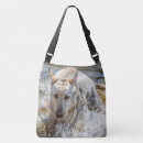 Recherche de labrador jaune sacs Laboratoire