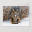 Recherche de cherie cartes postales Animaux