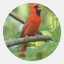 Suche nach rote sonne aufkleber Fotografie