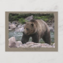 Suche nach grizzlybär postkarten Tragen