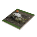 Suche nach skull fliesen Knochen