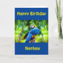 Recherche de neveu photographie Anniversaire du neveu