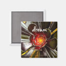 Suche nach cactus magnete Sukkulent