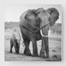 Suche nach animal print wanduhren African elephant