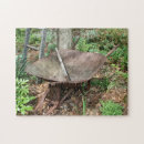 Suche nach rollstuhl puzzle Natur