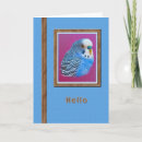 Recherche de perruche vœux cartes Faune