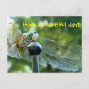 Recherche de insecte heureux cartes postales Insectes