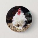Recherche de oeufs de poule badges Coq