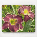 Suche nach taglilie mousepads Hemerocallis