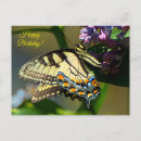 Recherche de tiger anniversaire cartes Tigre