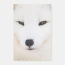 Suche nach mit augen post it Gesichtspunkt