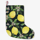 Recherche de citron chaussette de noël Arrière plan