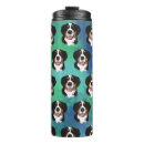 Recherche de berner tasses Bernèse chien de montagne