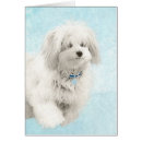 Recherche de tulears cartes postales Chiot