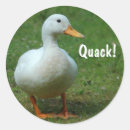 Suche nach entenaufkleber Weiße ente