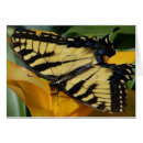 Recherche de papillon tropical vœux cartes Macro