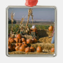 Suche nach vogelscheuchen ornamente Herbst