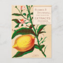 Recherche de arbre fruitier cartes postales Fruits