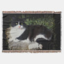Suche nach katzen decken Niedlich