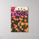 Suche nach bunte tulpen leinwandbilder Natur
